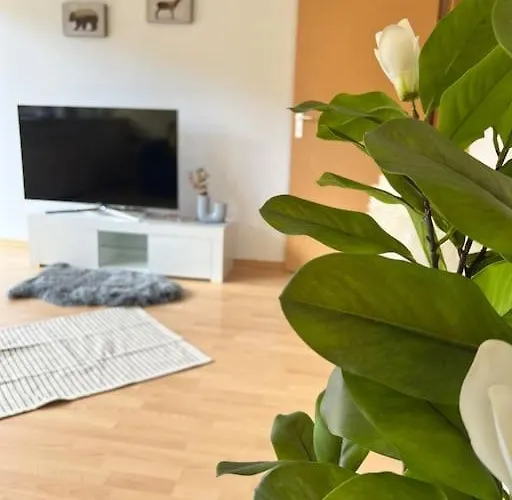 Apartment Casa Cielo *